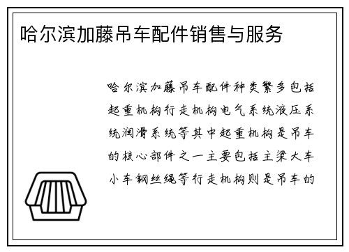 哈尔滨加藤吊车配件销售与服务