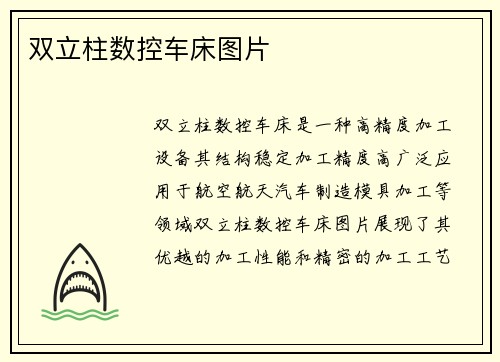 双立柱数控车床图片